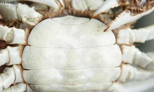 孕期患霉菌性阴炎用什么药效果好-【孕期患霉菌性阴炎用什么药效果好】孕期霉菌性阴炎可以用什么药 - 孕期霉菌性阴道炎怎么用药网