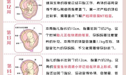 怀孕霉菌性阴炎用什么药好得快药-【孕期患霉菌性阴炎用什么药效果好】孕期霉菌性阴炎可以用什么药 - 孕期霉菌性阴道炎怎么用药网